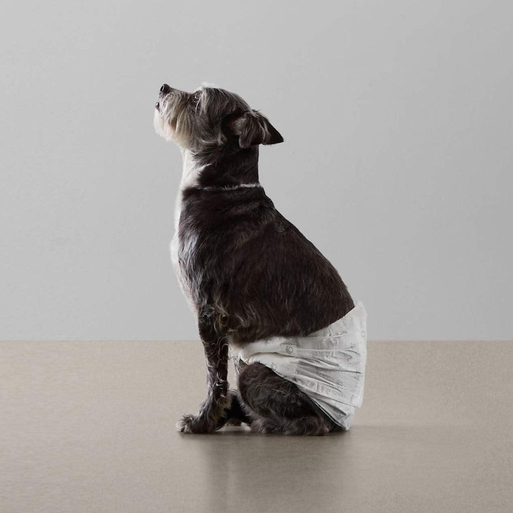 Amazon Basics Leak-Proof, Super Absorbent Male Dog Diapers with Wetness Indicator, Comfortable Design, Breathable Disposable Wrap, Secure Fit, Small, 30 Count