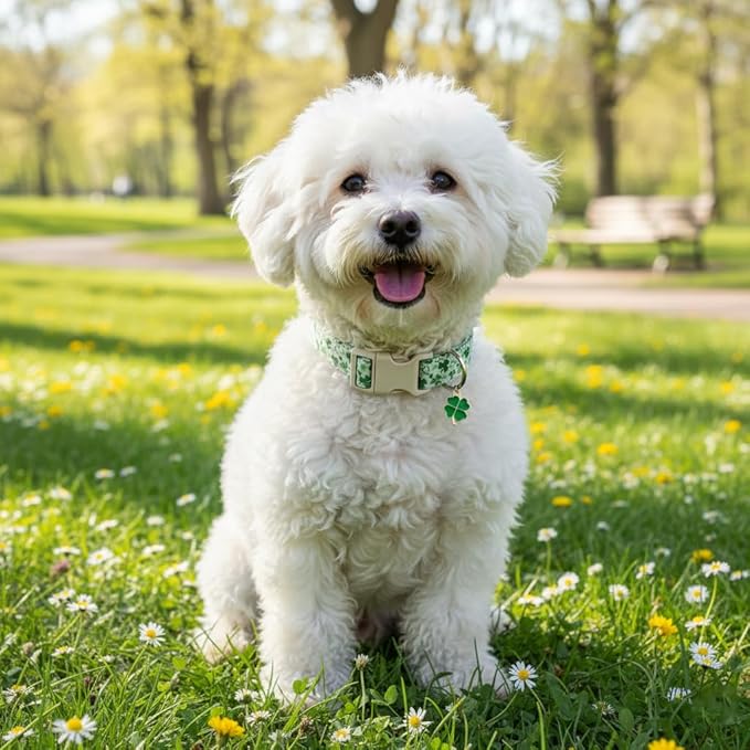 St. Patrick's Day Dog Collar, Cute Dog Collar - Image 8