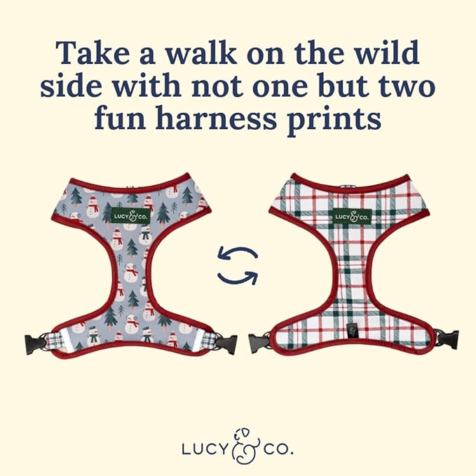 Lucy & Co. Cute Reversible Dog Harness Walking Halter - Image 5