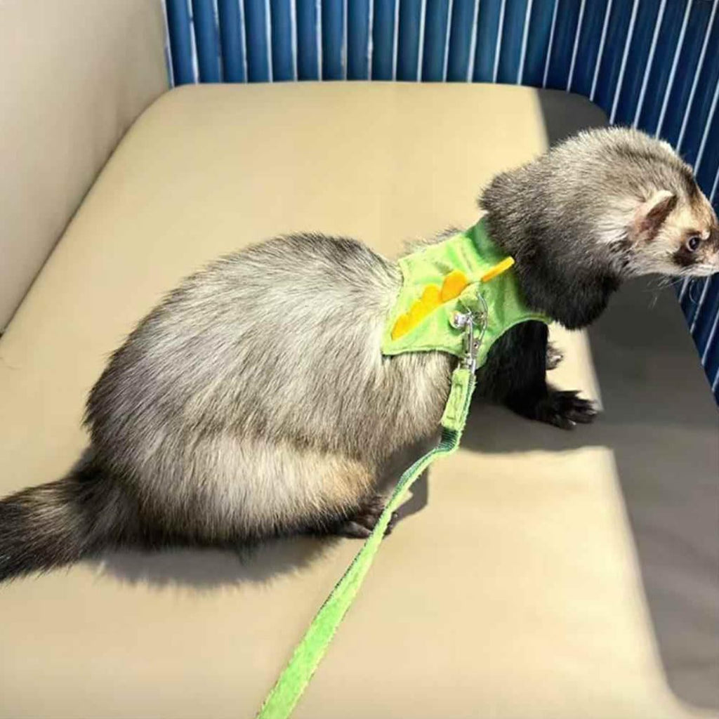 Adjustable Dinosaur Plush Harness & Leash Set, Soft No?Restriction Vest with Safety Bell, Escape?Proof Walking Leash for Ferret, Guinea Pig, Rabbit, Kitten, Puppy (Dinosaur-Green)