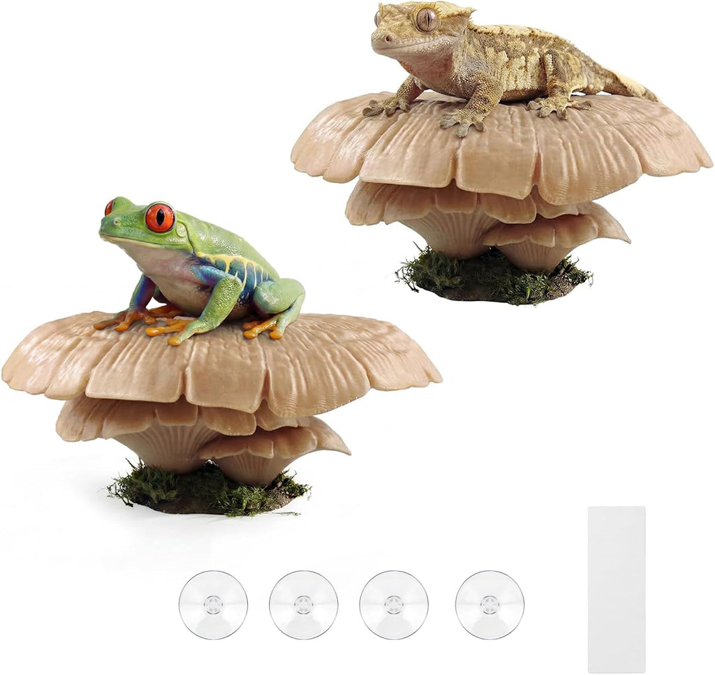 Mushroom Reptile Ledge| Tree Frog Terrarium Tank Accessories, Crested Gecko Tank Accessories, Frog Habitats, Fish Tank Decor, Axolotl Hides| Terrarium Plants Decor| Pet-Safe | 4 Suction Cups
