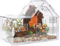 Acrylic Jumping Spider Enclosure House-Shaped Terrarium