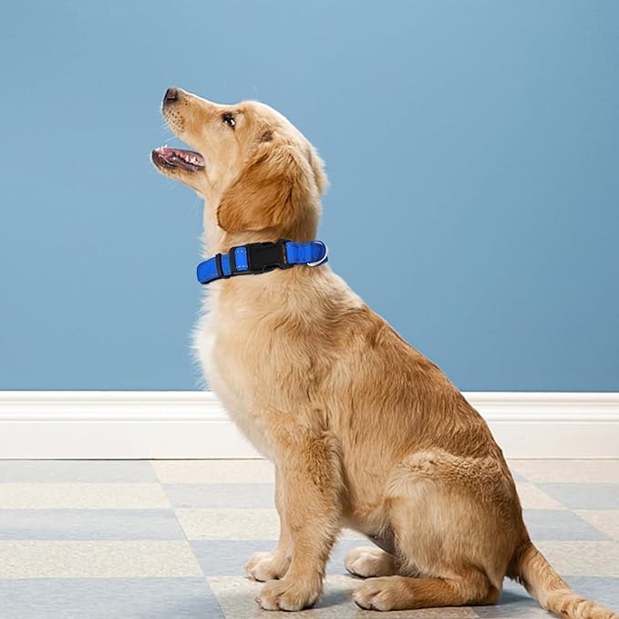 Reflective Dog Collar, Adjustable Soft Neoprene Padded Nylon Pet Collars - Image 2