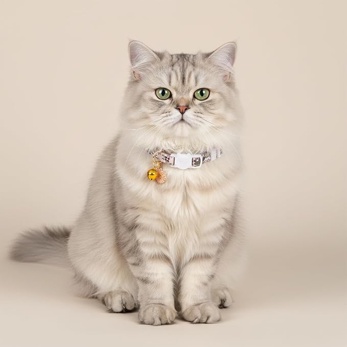 2 Pack Cotton Breakaway Cat Collars - Image 4