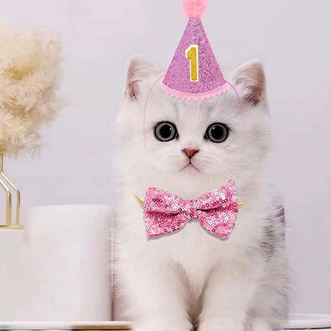 PET SHOW 4Pcs Pink Dog Birthday Hat - Image 5