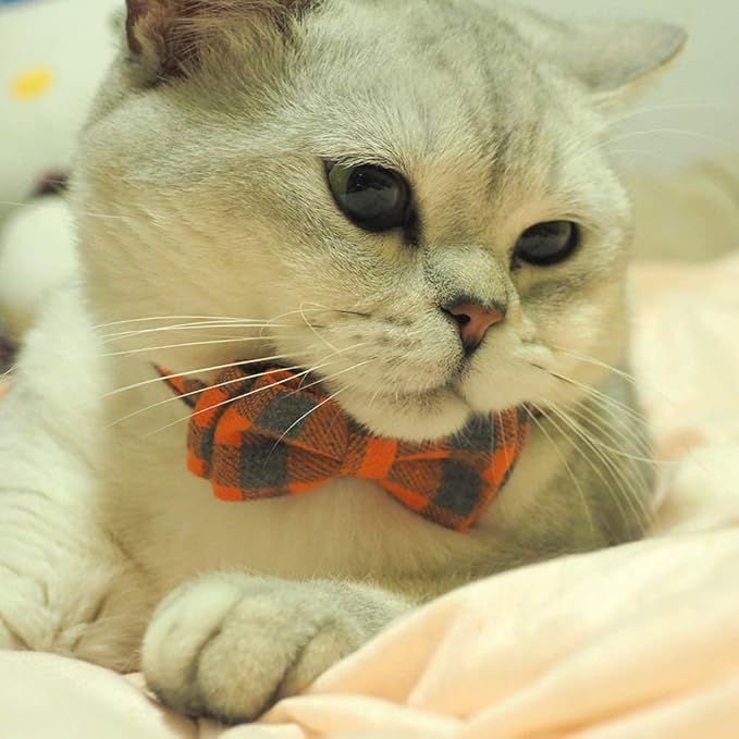 Cat Collars Breakaway with Bell and Bow Tie, Plaid Design Adjustable Safety - Image 3