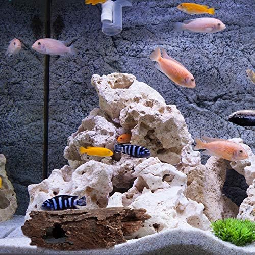 Lizard, Snake or Reptile Hide. XL Large 14" Hollow Log for Aquarium or Fish Tank. Bearded Dragon or Gecko Tank Accessories. Natural Looking Basking Platform, Shrimp or Betta Fish Hideout
