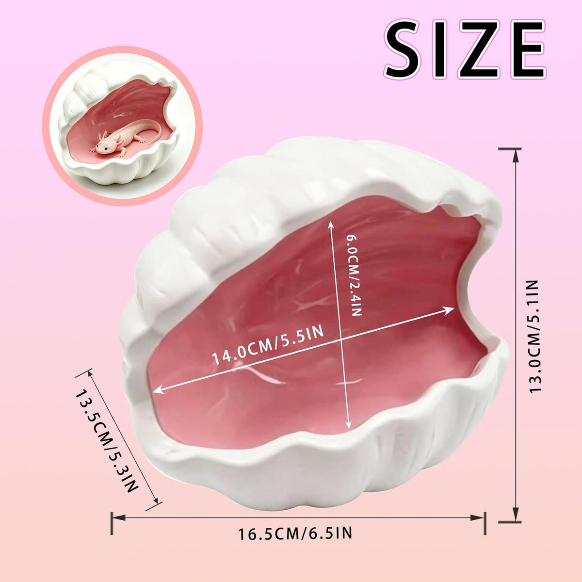 Axolotl Hide Ceramic Shell Shape Fish Tank Cave Set