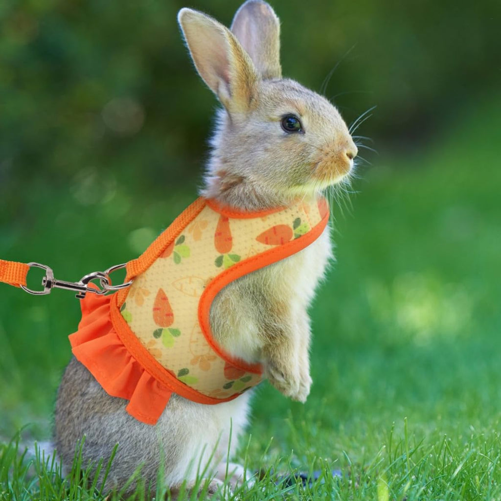 Bunny Harness and Leash Set,Rabbit Harness Small Pet Mesh Vest Orange L