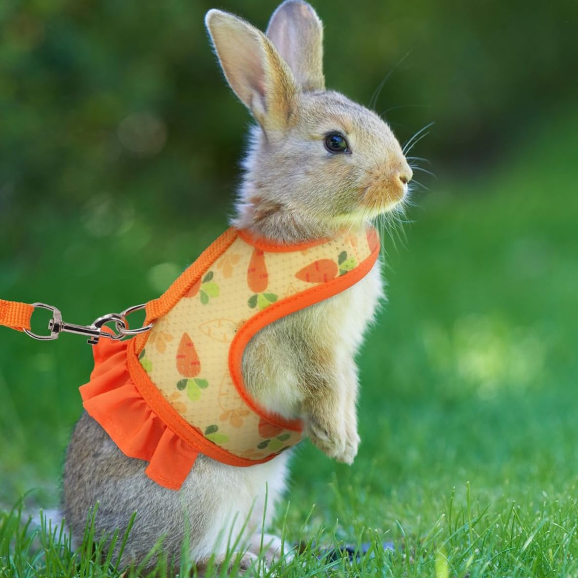 Bunny Harness and Leash Set,Rabbit Harness Small Pet Mesh Vest Orange L