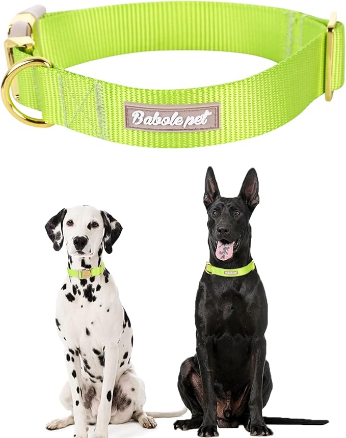 Nylon Dog Collar - Image 2