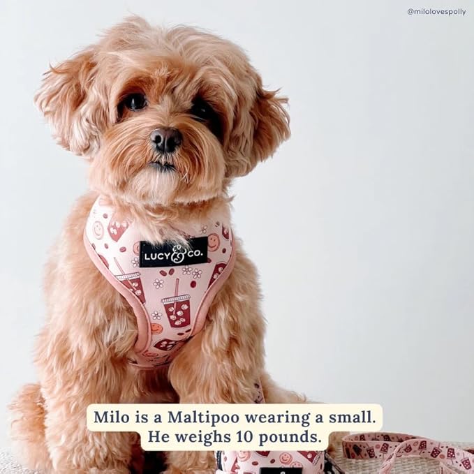 Cute Reversible Dog Harness - Image 5
