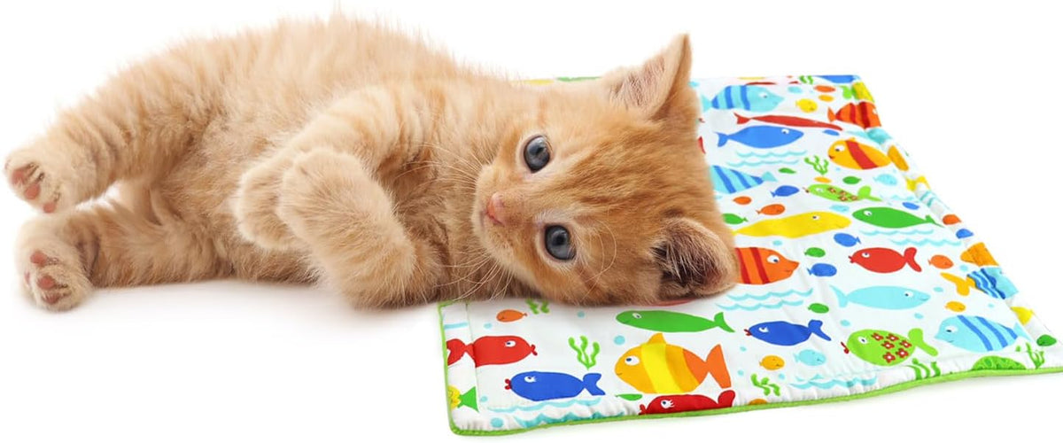 tinkare Refillable Catnip Cat Mat Kitty Comfortable Resting Place