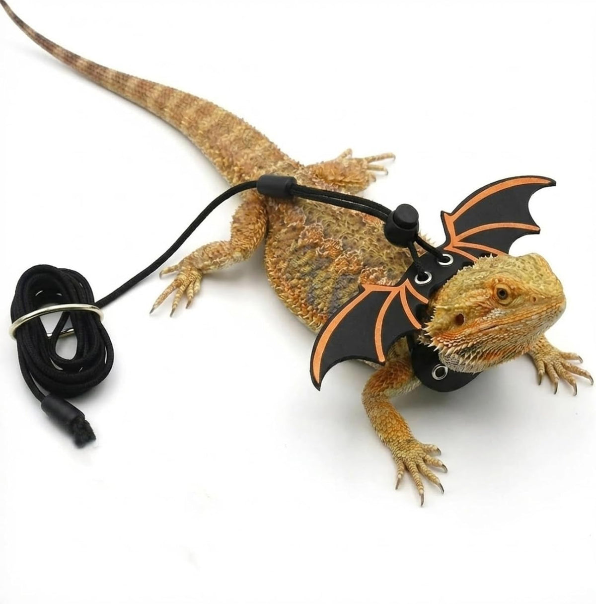 Bearded Dragon Carrier Sling & Bat Wing Leash Harness Set, Soft Flannel Reptile Travel Bag with 3 Size Chest Pads, Adjustable Outdoor Walking Accessories for Lizards Geckos (Black)