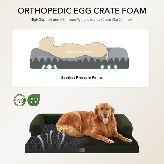 Orthopedic Dog Beds for Large Sized Dogs, Waterproof Egg Crate Foam Large Dog - Image 2