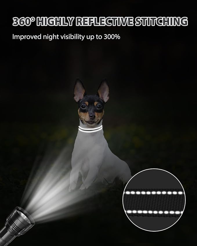 Joytale Small Dog Collar, Reflective and Adjustable Nylon Collar - Image 5