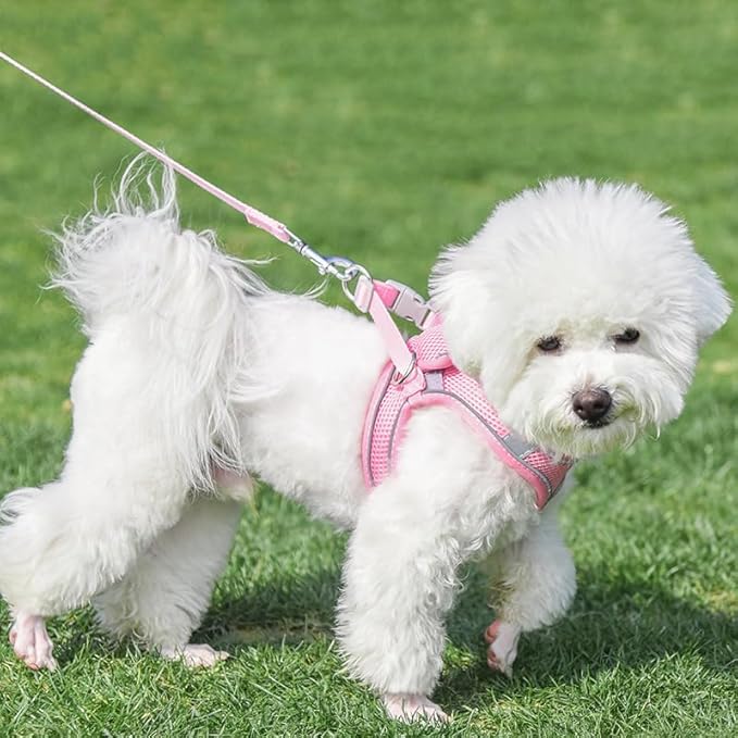 AIITLE Small Harness for Puppy - Image 2