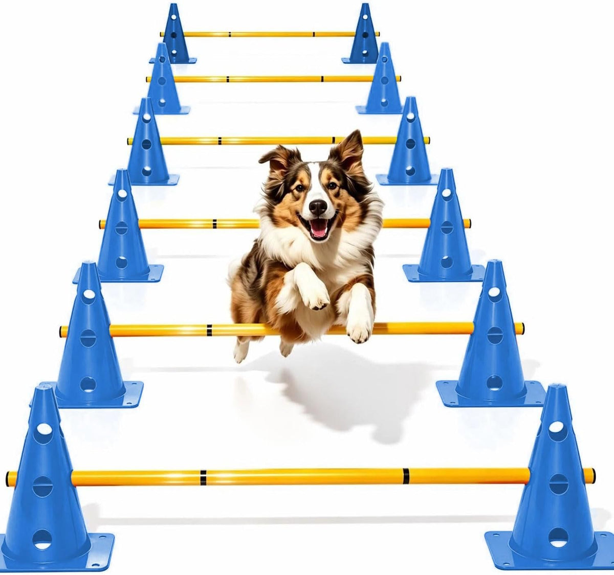 Dog Agility Training Hurdle Cone Set, Adjustable Dog Agility Equipment Obstacle Course Backyard Equipment for Pet Exercise 6 Set