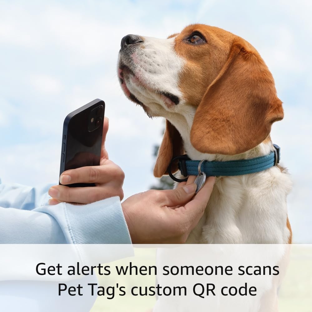 Ring Pet Tag | Easy-to-use tag with QR code | Real-time scan alerts | Shareable Pet Profile | No subscription or fees | 2-pack