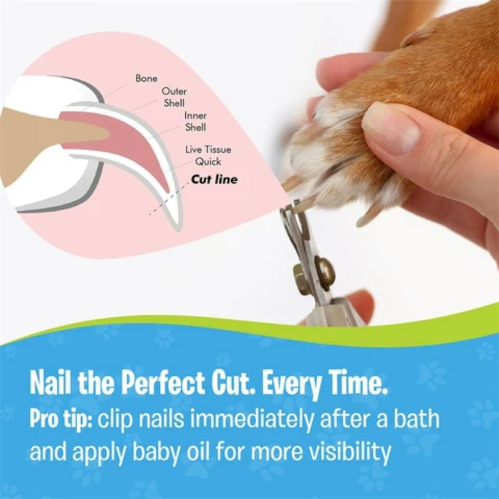 Cat Nail Clippers and Trimmers Set, Professional Pet Grooming Tools for Cats' Nails with Safety Guard, Free Nail File, Razor Sharp Blades, Meduim, Blue