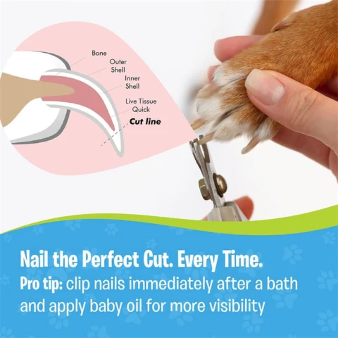 Cat Nail Clippers and Trimmers Set, Professional Pet Grooming Tools for Cats' Nails with Safety Guard, Free Nail File, Razor Sharp Blades, Meduim, Blue