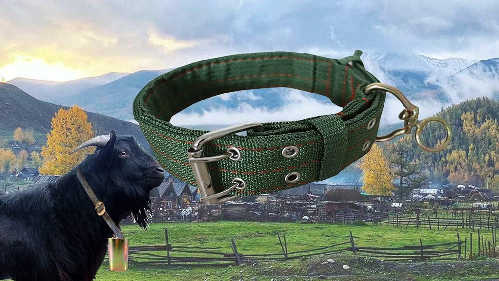 Adjustable Four-Layer Nylon Thickened Cow Collar with 2-Rows Metal Buckle and Traction Chain for Horse, Sheep, Cattle, Dog, Camel (28.7inch)