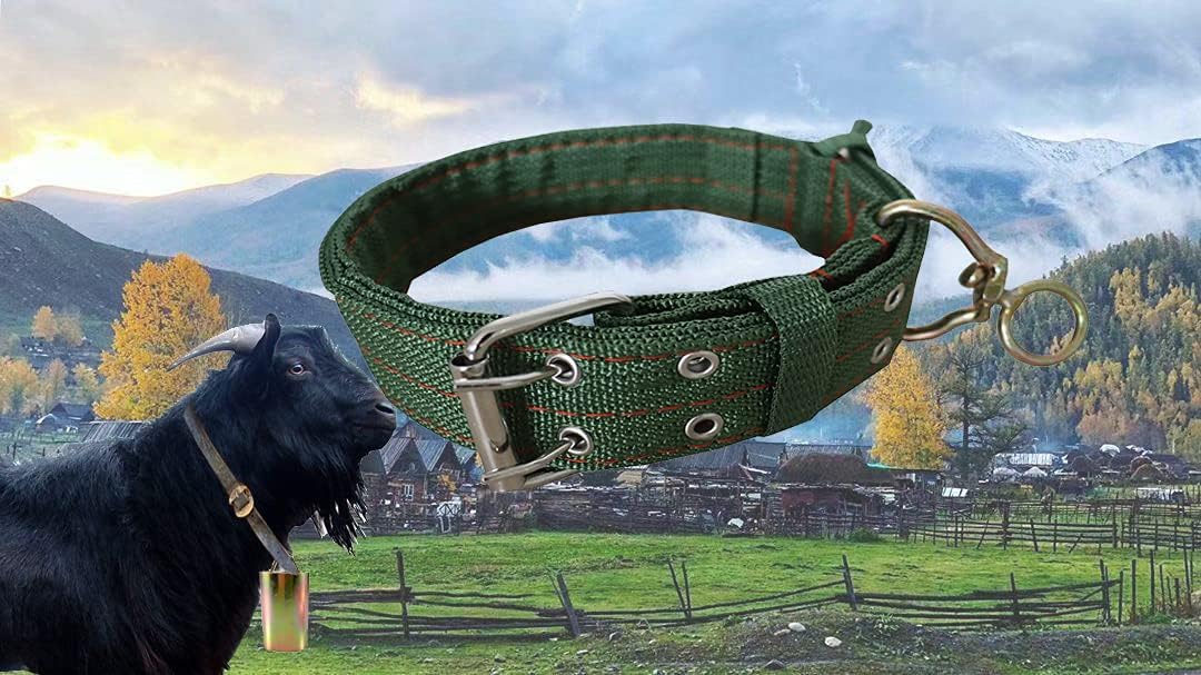 Adjustable Four-Layer Nylon Thickened Cow Collar with 2-Rows Metal Buckle and Traction Chain for Horse, Sheep, Cattle, Dog, Camel (28.7inch)