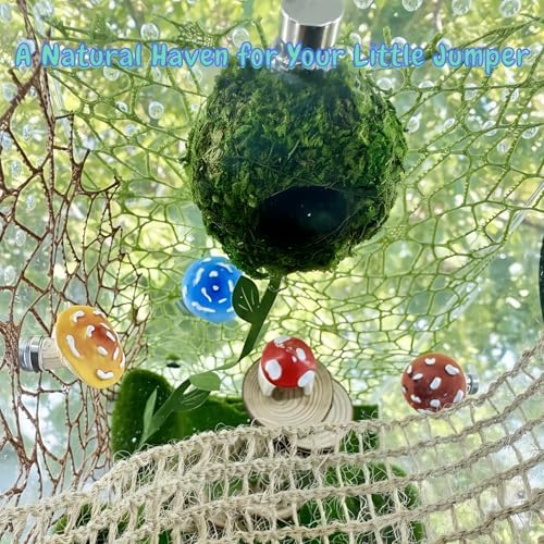 10 Pcs Jumping Spider Accessories Kit for Enclosure Decor