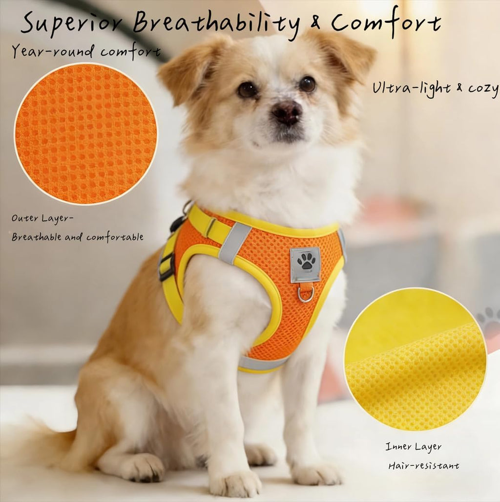 Pet Harness Vest with Leash for Small Medium Dogs Cats-No Pull Step-in Pet Vest Breathable Soft Lightweight Harness and Leash Set for Puppy Kitty Bunny-Orange-XS