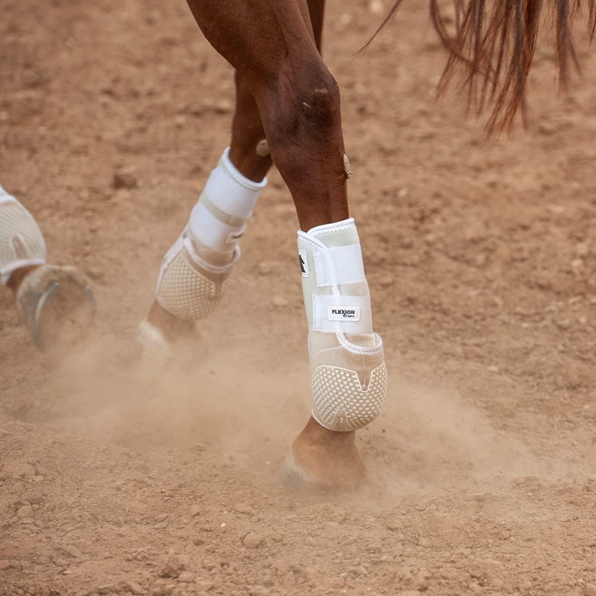 Classic Equine Legacy2 Support Boots, Front and Hind