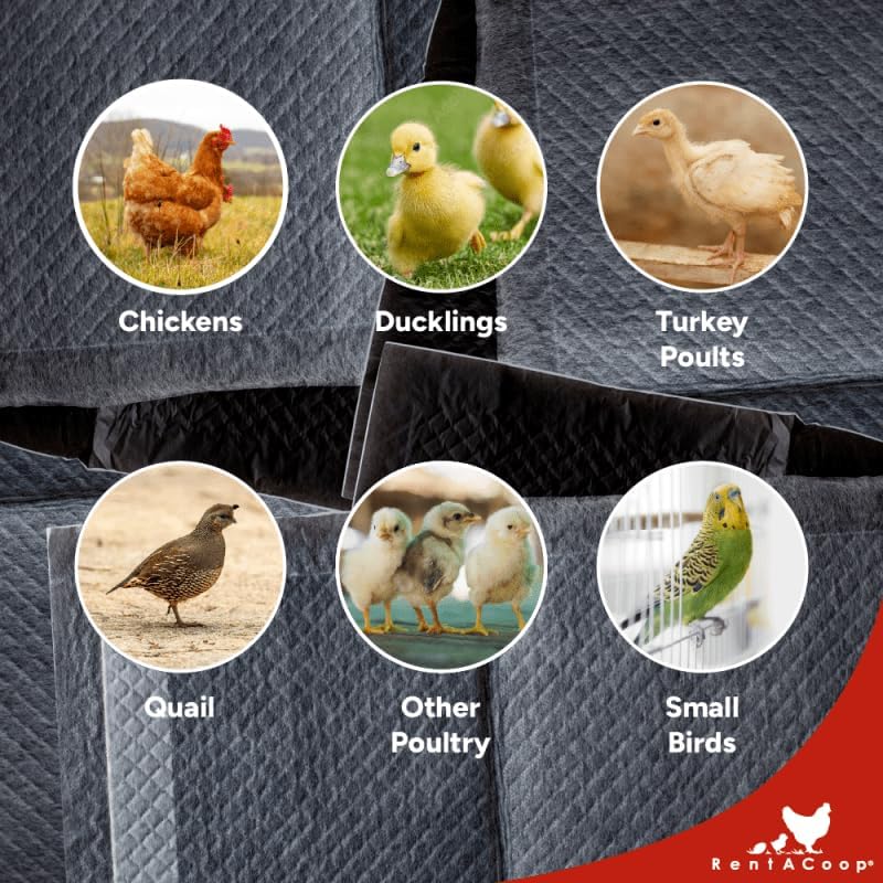 RentACoop Hatchling Liners for Little Red Barn- Pack of 12