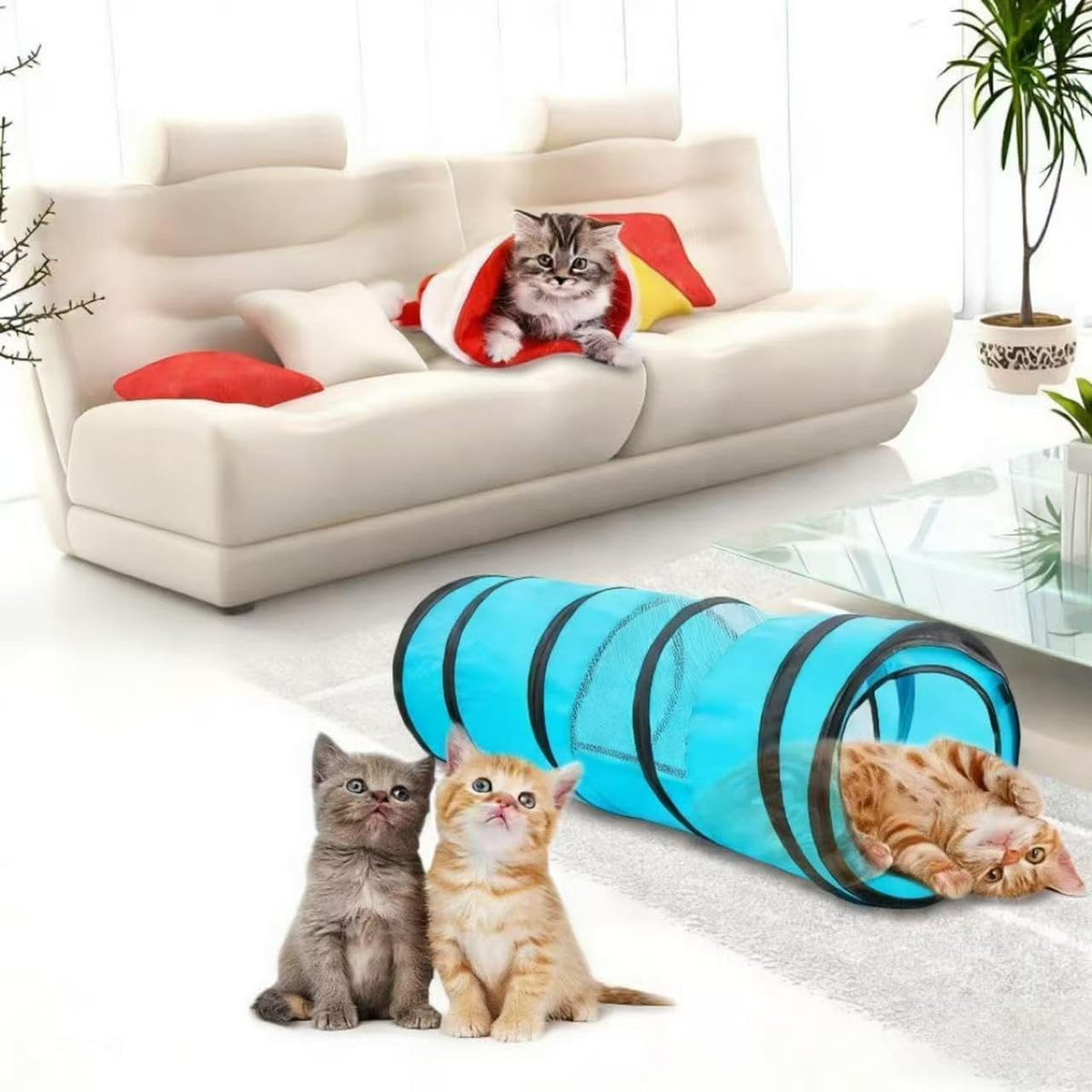 PAWISE Cat Tunnel for Indoor Cats, Collapsible Pet Tube with Peek Hole