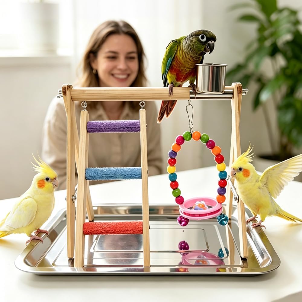 Bird Playstand Exercise Bird Play Perch Ladder with Feeder Cups Swing Toys