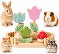 Hamster Chew Toys, Guinea Pig Edible Chew Toys for Small Animals, 6 Pieces