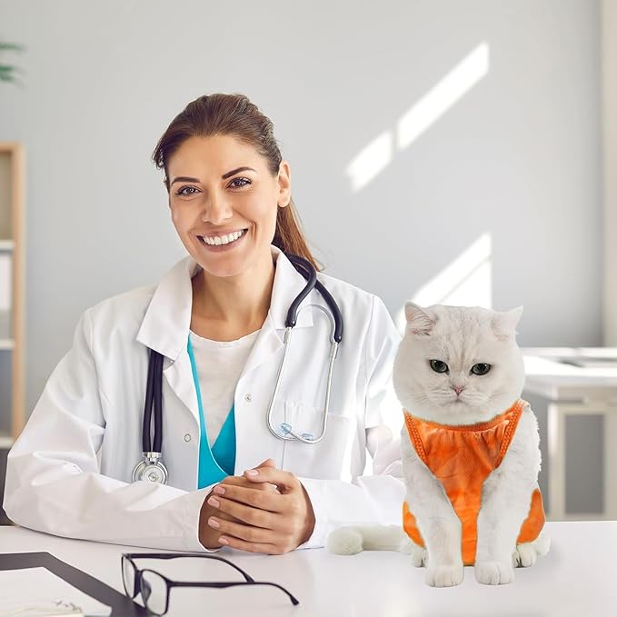 Avont Cat Recovery Suit - Image 3