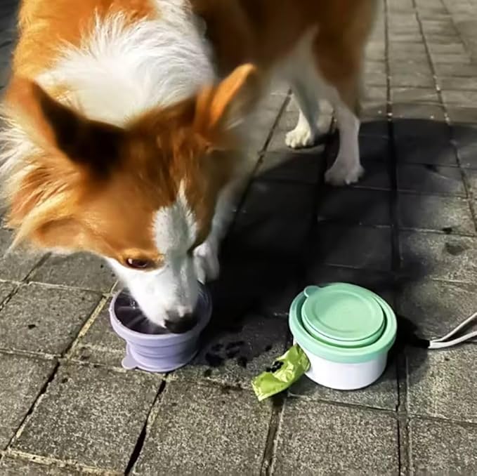 3 in 1 Collapsible Dog Bowl. Treat Container, Poop Bag Holder - Image 7