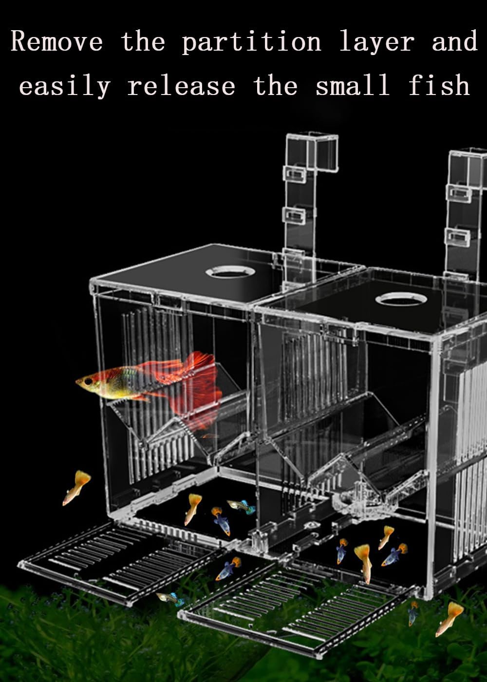 Aquarium Breeder Box, Isolation Hatchery for Small Fish Fry Hatchery