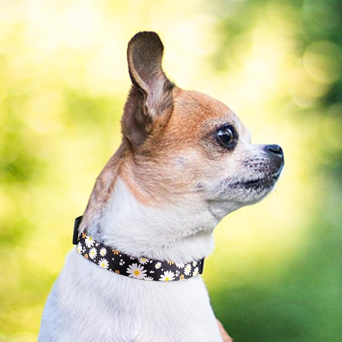 QQPETS Adjustable Soft Dog Collar: Print Flower Pink Multicolor Cute Patterns - Image 6