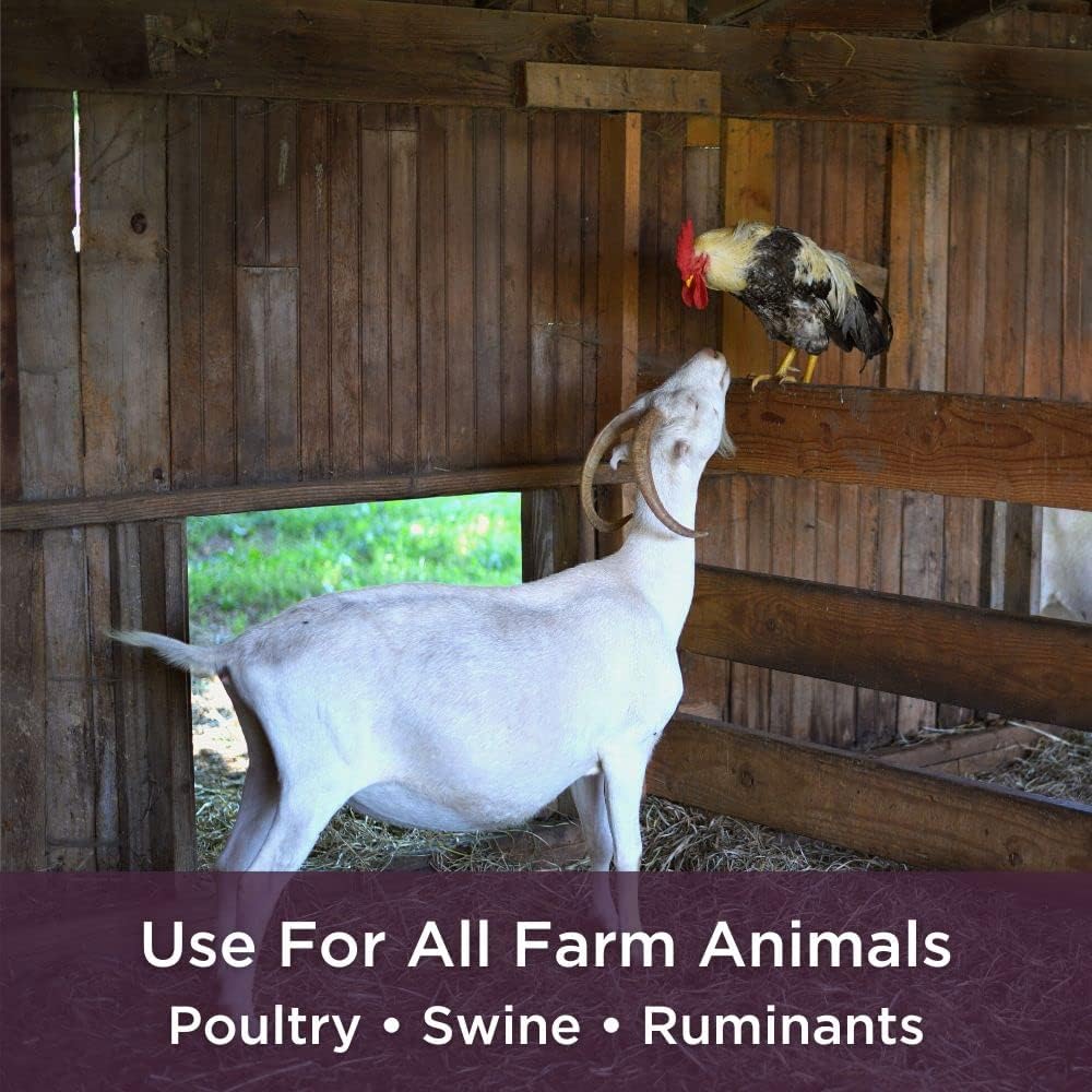 Dr. Connie's Livestock Probiotic + Electrolyte Powder for Animals