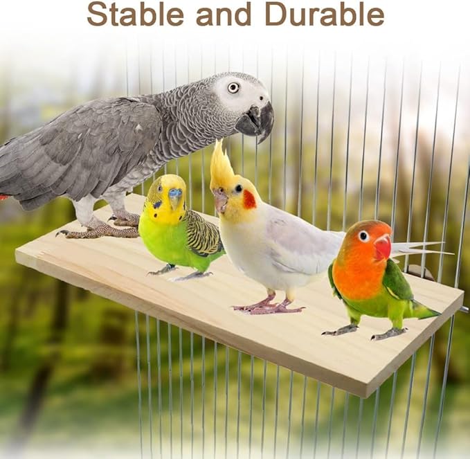 Litewoo Parrot Bird Wood Perch Platform Large Stand Shelf - Image 4