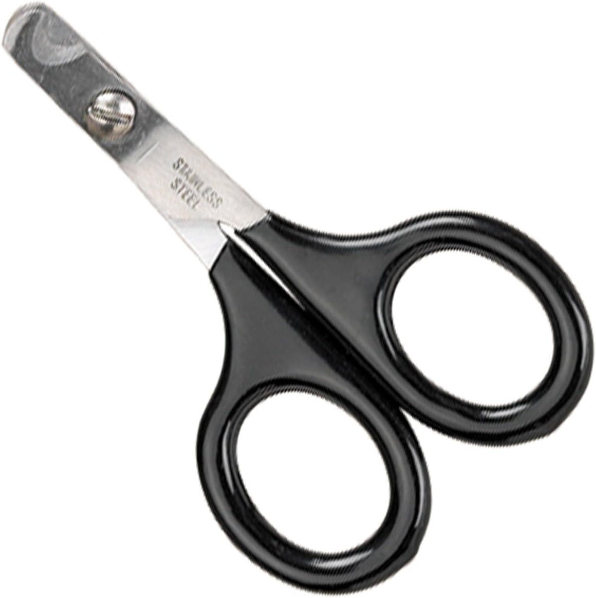 Master Grooming Tools Pet Nail Scissors — Stainless Steel Scissors for Trimming Nails on Cats and Birds - Small, 3½"