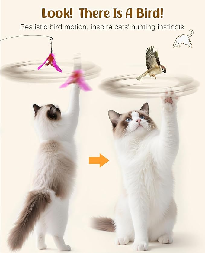 Pawaboo Feather Teaser Cat Toy, Interactive Feather Wand Cats Toy Flying - Image 4
