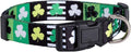 Native Pup St Patricks Dog Collar- Saint Patrick Green Shamrock Pet Collars- by NativePup