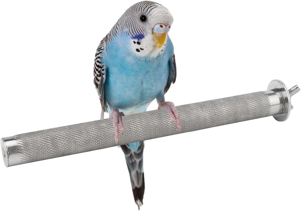 Hypeety Stainless Steel Bird Perch Durable Nail Trimming Stand for Cage, XL
