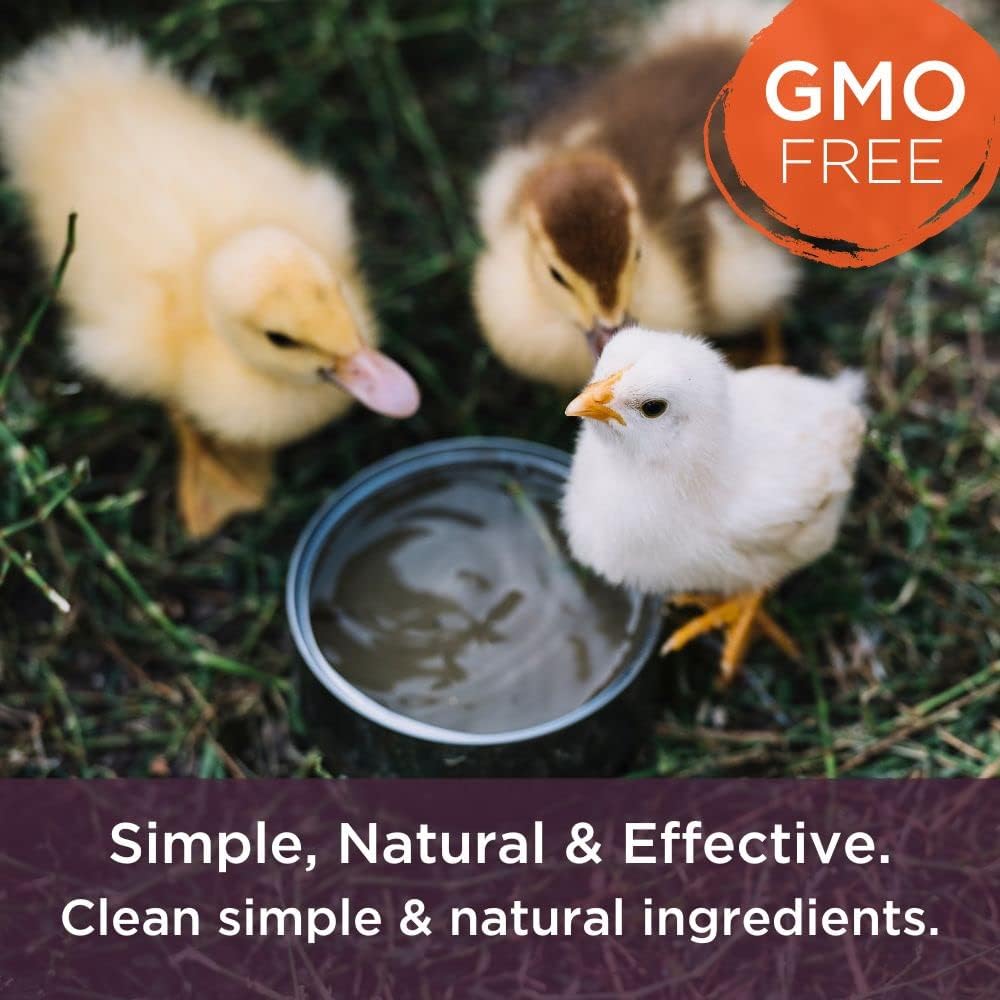 Dr. Connie's Livestock Probiotic + Electrolyte Powder for Animals