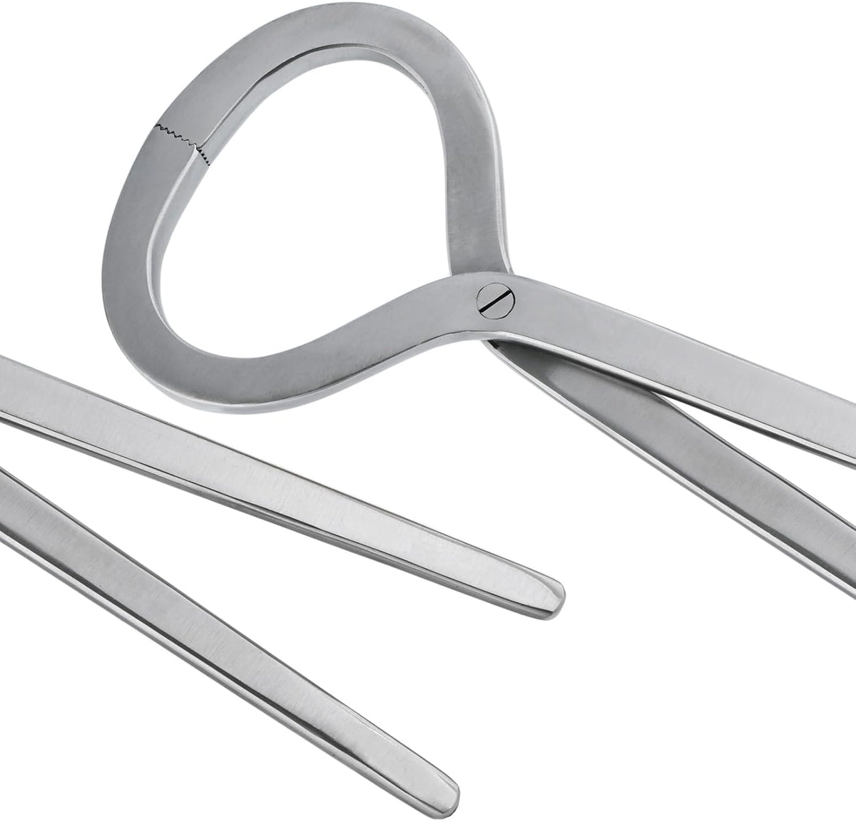– Professional Hoof Tester 13” | Veterinary & Farrier Equine Hoof Care Tool | Stainless Steel, Corrosion-Resistant, Autoclavable, Durable for Horse Hoof Exams (Silver)