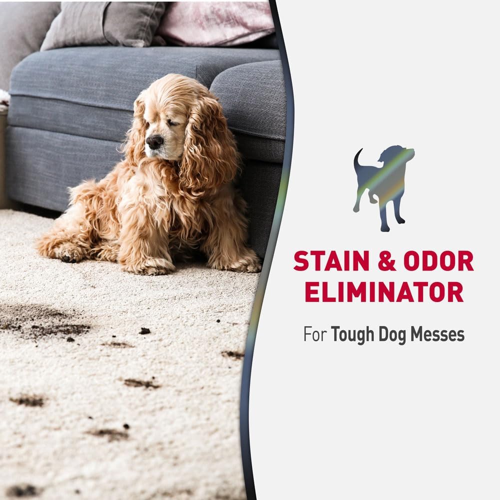 Nature's Miracle Advanced 128oz Dog Stain & Odor Remover and Set-In Stain Destroyer Bundle