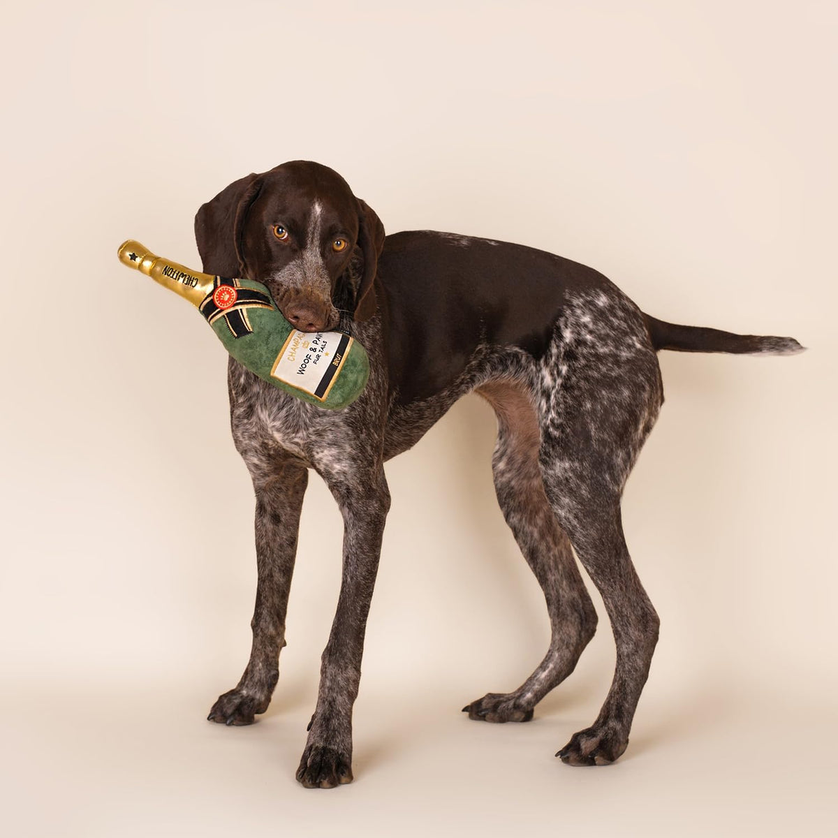 CHEWFFON Dog Toy, Interactive Champagne Shape Squeaky Toy for Boredom