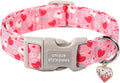 Unique style paws Valentine's Day Dog Collar Plastic Buckle Collar by Uniquestylepaws