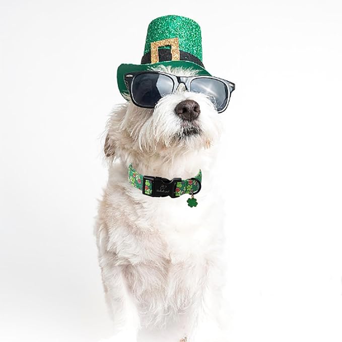 St Patricks Day Dog Collar for Medium Dogs - Image 5